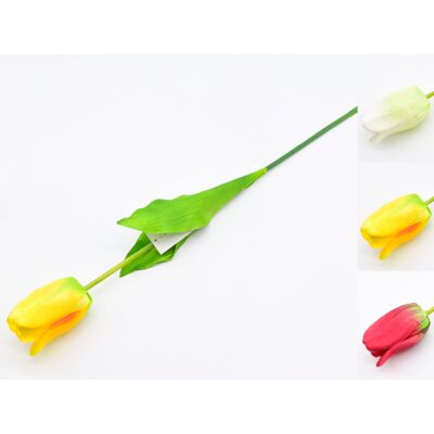 Tulipan pojedynczy mix kolorów 61 cm