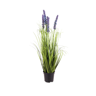 Trawa w doniczce 66 cm