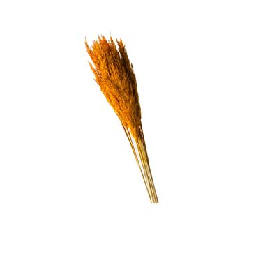 Trawa Plume 90 x 6 cm pomarańczowa
