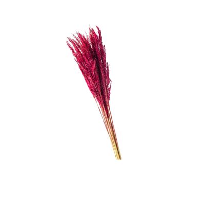 Trawa Plume 90 x 6 cm burgundowa