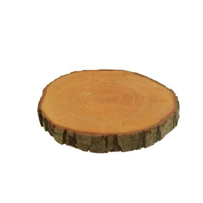 Plaster z drzewa liściastego 25 cm