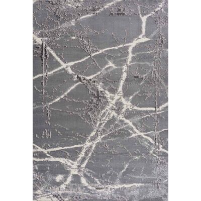 Dywan sevilla szary 120 x 170 cm P11970