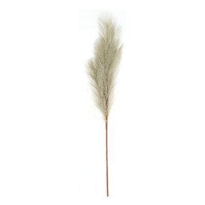 Trawa plume 8 x 77 cm
