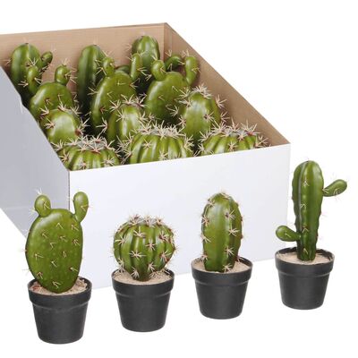 Kaktus w doniczce zielony 4 assorted display 9 x 12 cm 0588