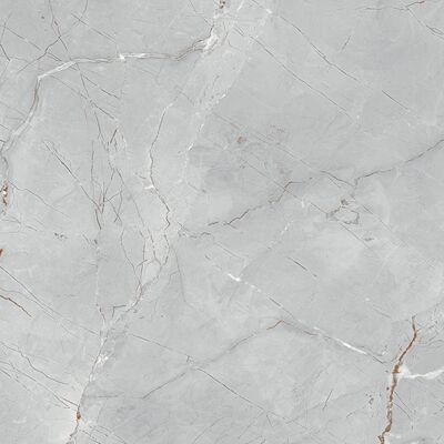 Gres szkliwiony rektyfikowany polerowany DAKOTA GREY 60 x 60 cm