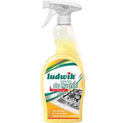 Mleczko do czyszczenia kuchni spray 750 ml Ludwik