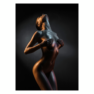 Obraz CANVAS SILVER 70 x 100 cm ST653 ACT