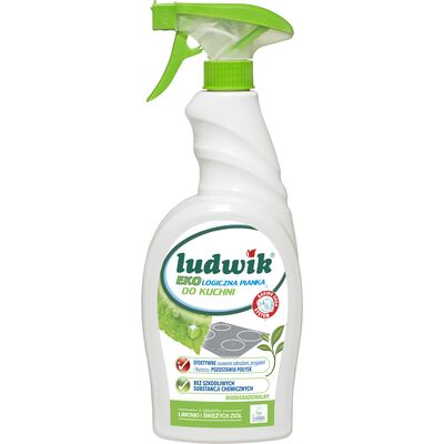 LUDWIK ekologiczny pianka do czyszczenia kuchni 750 ml