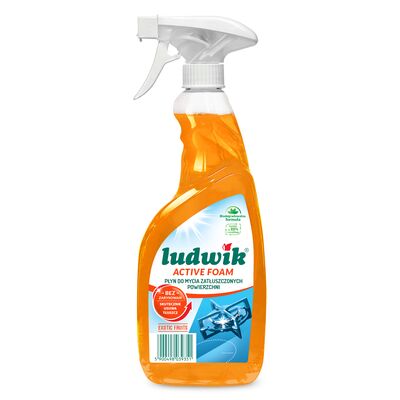 Płyn do mycia zatłuszczonych powierzchni active foam Exotic Fruits 600 ml Ludwik