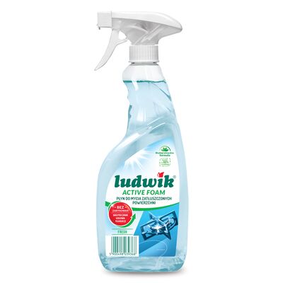 Płyn do mycia zatłuszczonych powierzchni active foam fresh 600 ml Ludwik