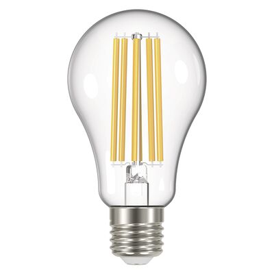 Żarówka LED Filament A67 17 W E27 neutralna biel