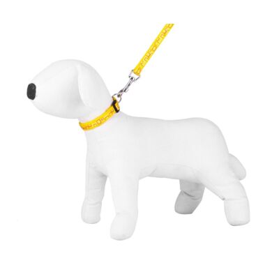 Komplet smycz obroża NT żółte 2,5 cm SZ44