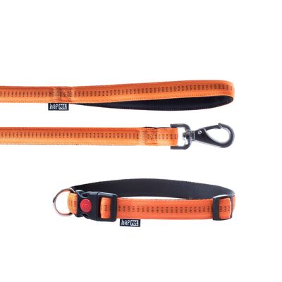 Smycz + obroża Soft Style pomarańcz L 2cm