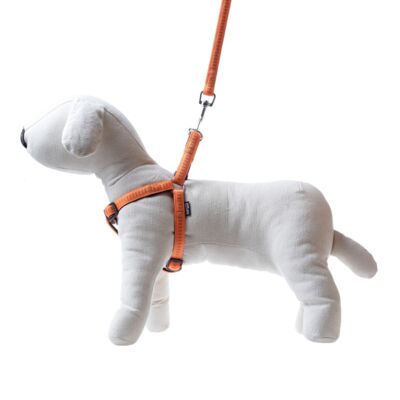 Smycz + szelki Soft Style pomarańczowe L 2 cm