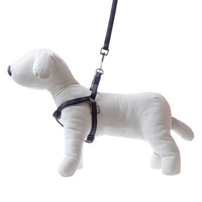 Smycz + szelki Soft Style czarne XL 2,5 cm
