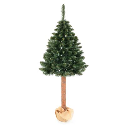 Jodła Lux na pniu 160 cm zielona