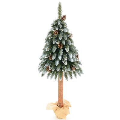 Jodła diamentowa z szyszkami na pniu 140 cm