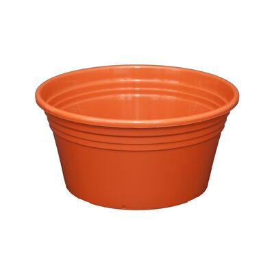 Miska Irys płaska 22 cm terakota