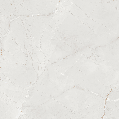 Gres szkliwiony Dakota Bianco 60 x 60 cm 1,44 m2 EGEN