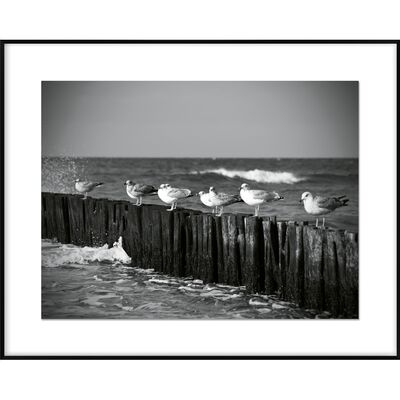 Obraz 40 x 50 cm DB4050,074