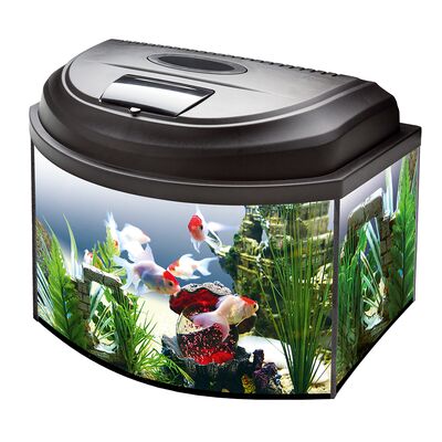 Zestaw akwariowy Aqua4Kids 40/O Aquaszut