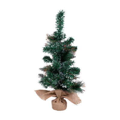 Choinka jodła 60 cm w jutowym worku