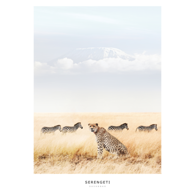 Obraz na płótnie 50 x 70 cm Masai Mara