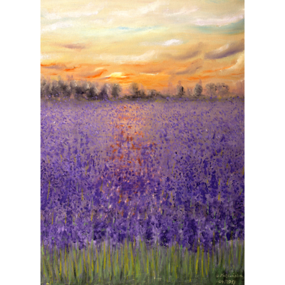 Obraz na płótnie 100 x 70 cm Pole Lawendy