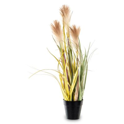 Roślina dekoracyjna kwiat fikus 56 cm