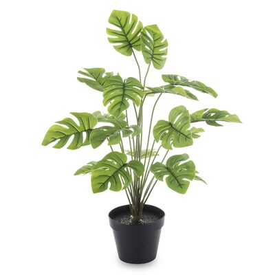 Roślina dekoracyjna kwiat monstera 50 cm
