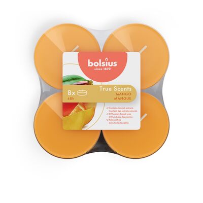 Świeca zapachowa Maxi Light 8 szt. 11,5 x 4,6 cm mango Bolsius