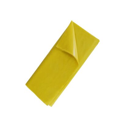 Folia paroizolacyjna 2 m x 50 m 0,20 mm
