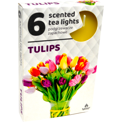 Podgrzewacz zapachowy tulipan 6 szt.