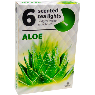 Podgrzewacz zapachowy aloes 6 szt.