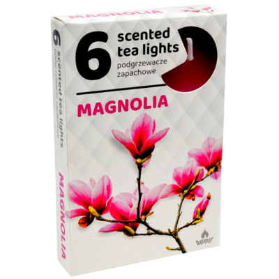 Podgrzewacz zapachowy magnolia 6 szt.