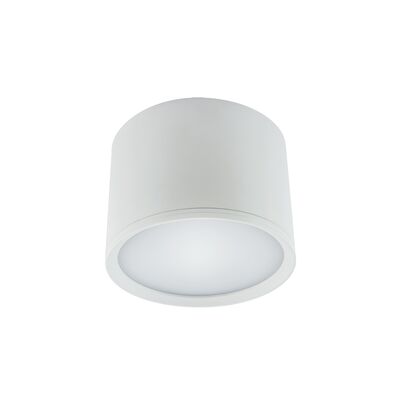 Oprawa sufitowa ROLEN LED 7 W biały NW STRÜHM