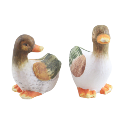 Figurka ogrodowa kaczka 13 x 17,5 cm mix wzorów