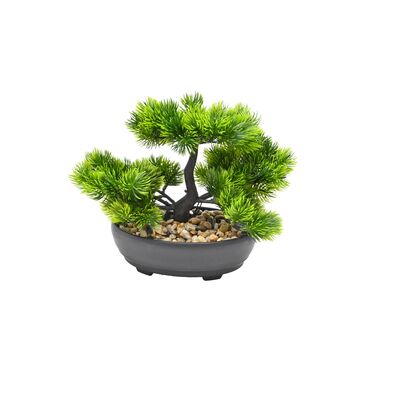 Roślina bonsai w doniczce 20 cm zielona