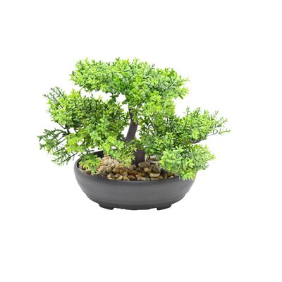 Roślina bonsai w doniczce 20 cm zielona