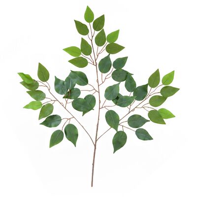 Gałązka benjamina zielona 65 x 45 cm