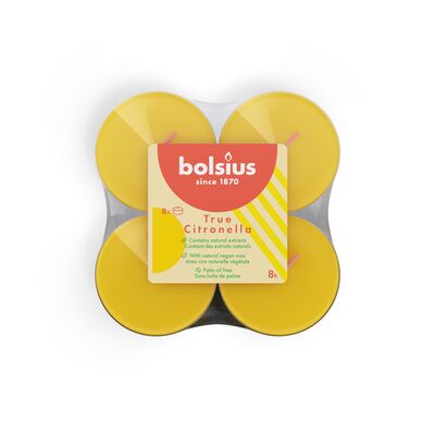 Świeca zapachowa Maxi Light 8 h 8 sztuk TS Citronella