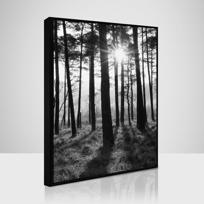 Obraz 70 x 100 cm SB 020L18,37,001