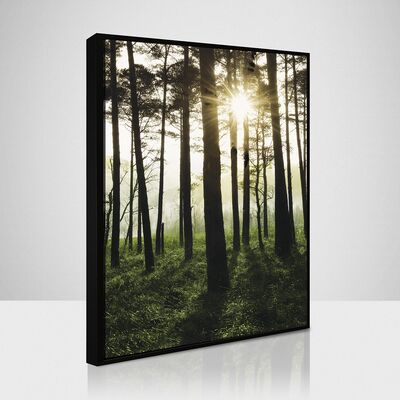 Obraz 50 x 70 cm SB 093L18,37,001