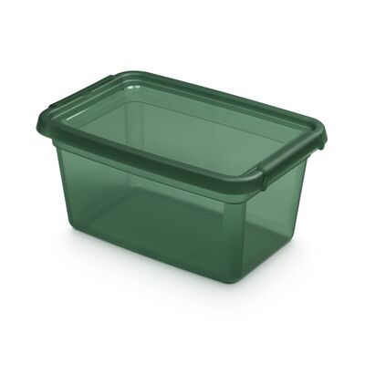 Pojemnik 2322 BaseStore Color 4,5 l pine