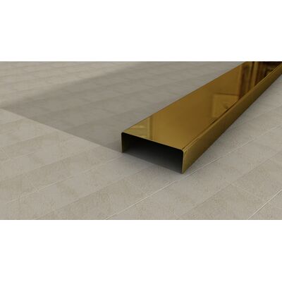 Listwa ze stali nierdzewnej 0,6 x 2,0 x 270 cm GOLD G20