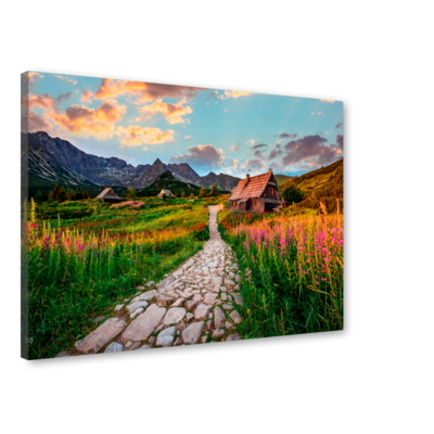 Obraz Canvas 85 x 113 cm ST698 Hala